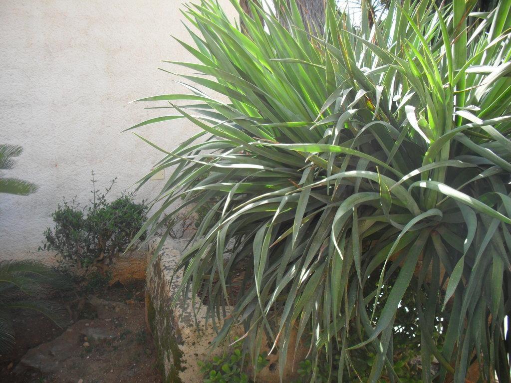 Casa Petros Διαμέρισμα Μαρσάλα Εξωτερικό φωτογραφία
