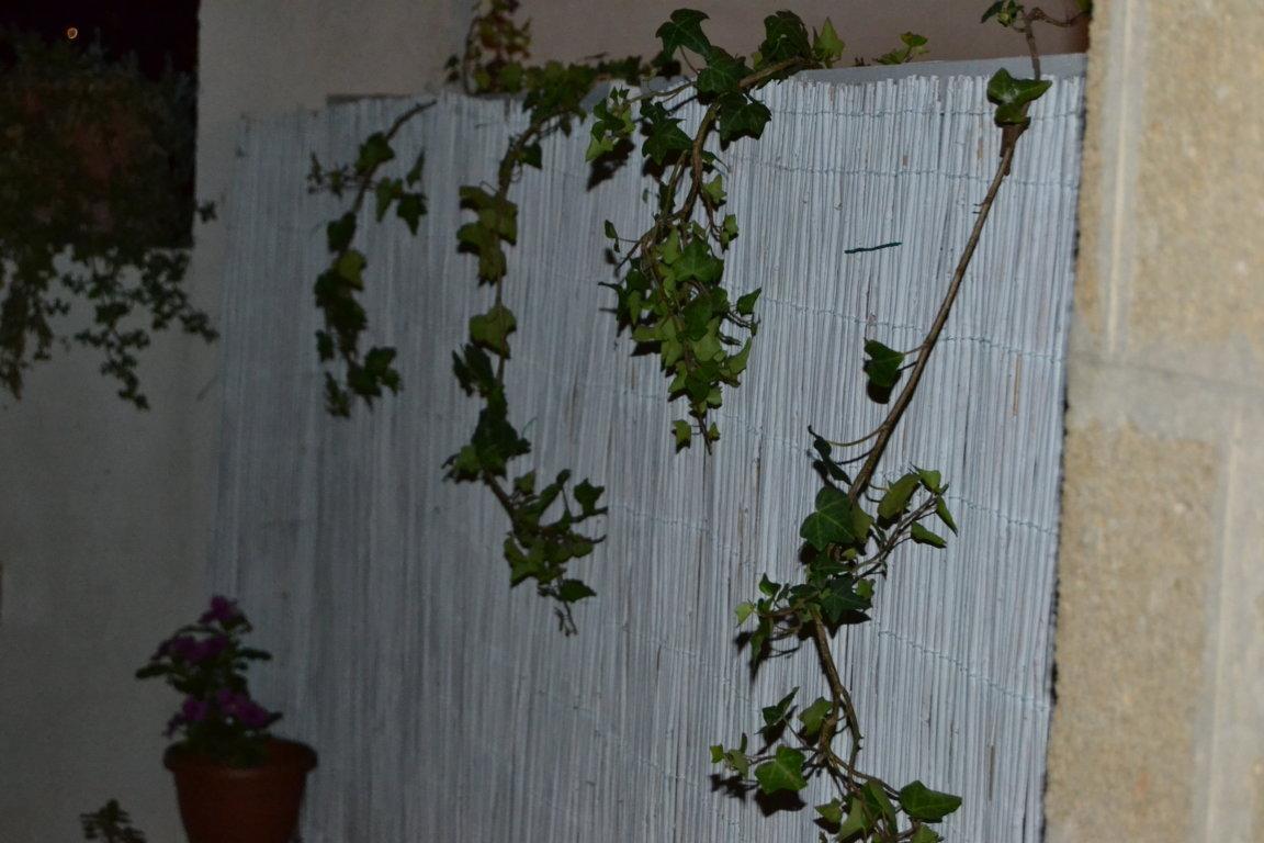 Casa Petros Διαμέρισμα Μαρσάλα Εξωτερικό φωτογραφία